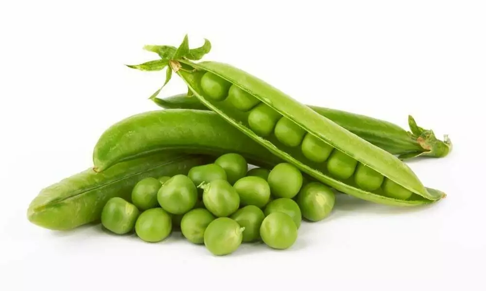 Pea